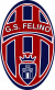 logo Felino