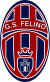 logo Futura Fornovo Medesano